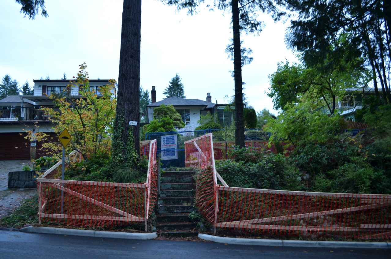 Protecting the North Shore Trees